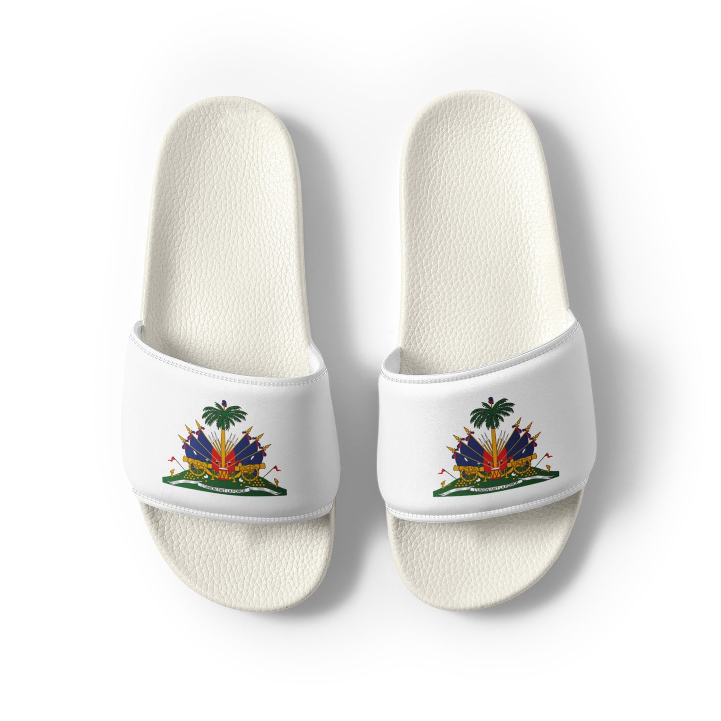 HAITIAN - Slides