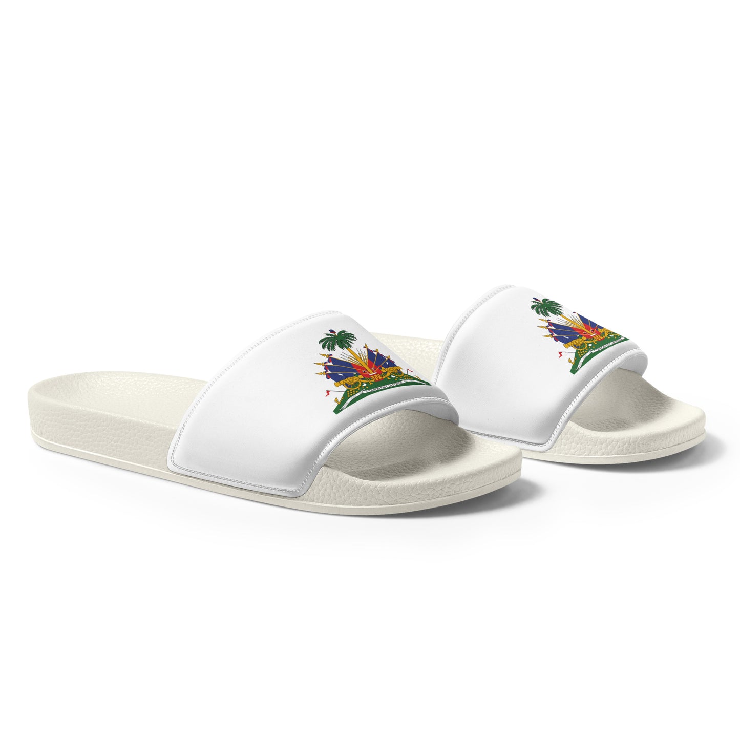 HAITIAN - Slides